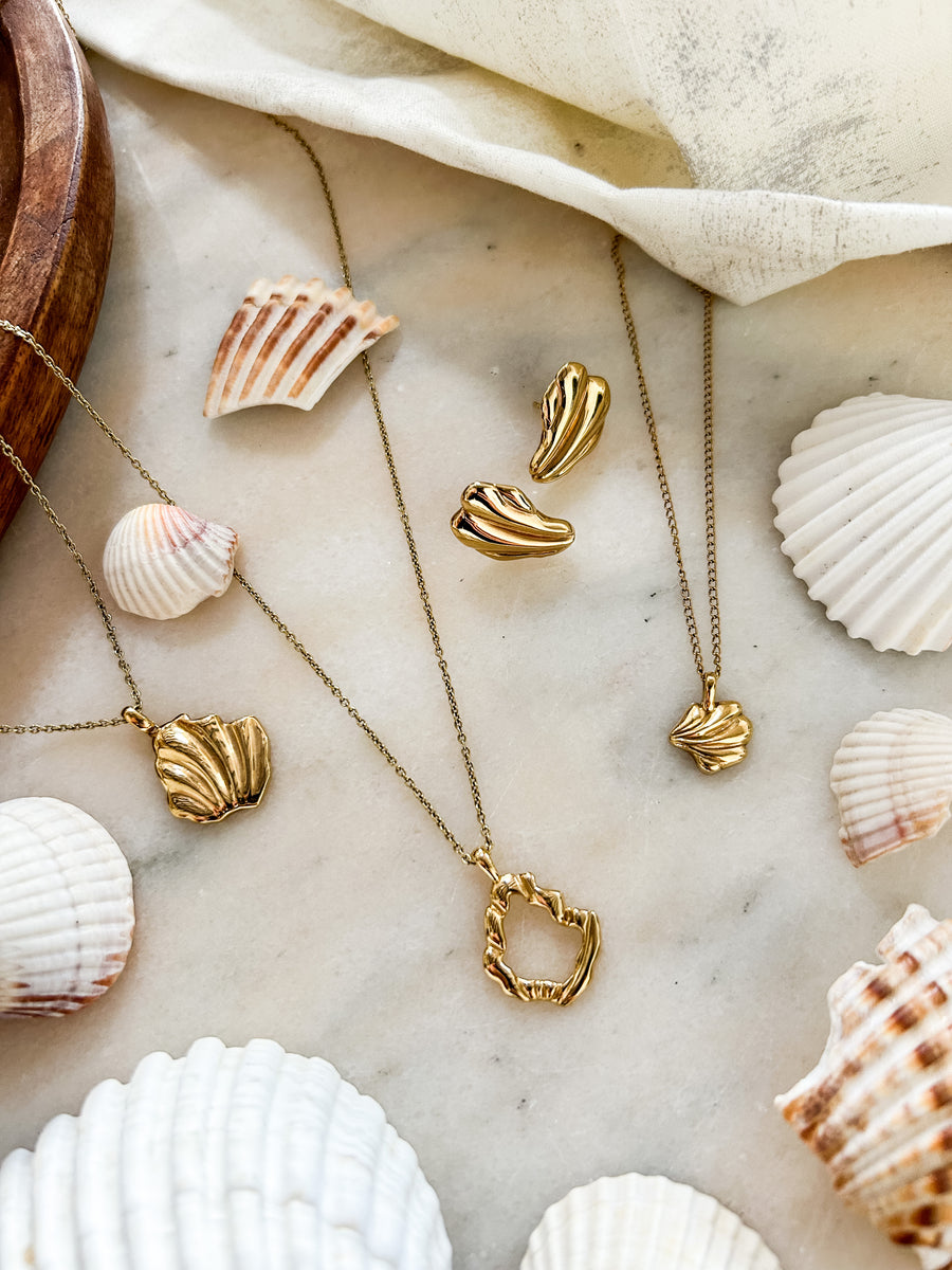 A small collection of the shell fragment pieces, with shells & broken shells alongside
